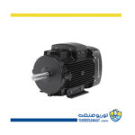 الکتروموتور Grundfos